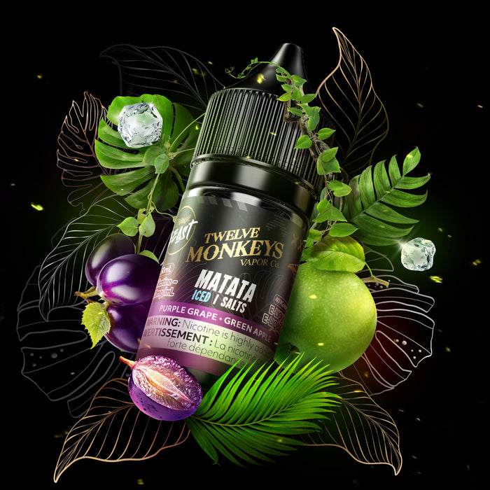 FLAVOUR BEAST X TWELVE MONKEYS - E-LIQUID