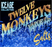 12 MONKEYS: ICE AGE SALTS (30ml)